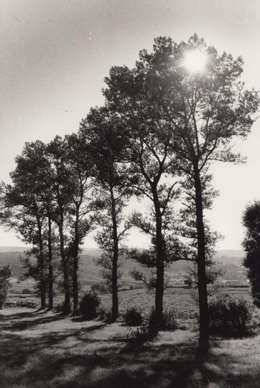 Aubrac, France © Etienne Pierart